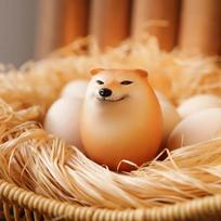 Kūrybiškas Shibako šuo Kiaušinio Squishy Fidget žaislas Shiba Inu PU Lėtai atšokantis šuns kiaušinio žaislas Realistiškos formos Streso mažinimo žaislas Vaikams