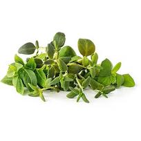 Click & Grow Plant Pod Italian Herb Mix 9pcs PPMIHX9