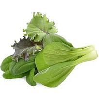 Click & Grow Plant Pod Asian Greens Mix 9pcs PPMAGX9