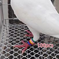 100x Poultry Pigeons Leg s Mixed Color Markers Random Bird Foot Bands, for Parrots