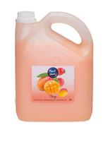 NORD CLEAN Skystas rankų muilas (mangų kvapo), 3 l
