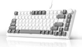 AK820 Grey White Wired Mechanical Keyboard, žaidimų klaviatūra su balta šviesa|Garsumo reguliavimas|82 klavišai|PBT klavišų dangteliai|Poroninė medvilnė|Greitai keičiama klaviatūra žaidimų klaviatūra tastatur 75 prozent tastatur