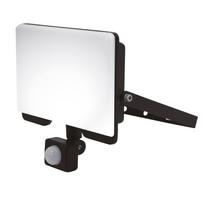 LED prožektorius SPECTOR LIGHT 17118S, su judesio davikliu, 50W, 4500lm, 4000K, IP44