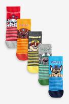NEXT PAW PATROL kojinės, 5 vnt., Q74930, 26,5-30,5