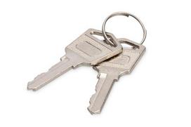 Digitus Keys for loading lockers (trolleys)
