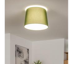 Brilagi - LED prigludęs lubinis šviestuvas CERIA 1xE27/40W/230V skersmuo 30 cm žalia