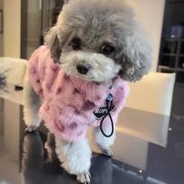 Dog Hoodie Dresses For Chihuahua Yorkie Teacup Winter Dog Dress Dog Winter Coat For Small Dogs Girl Pet Coat Dog Christmas L