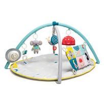 Taf Toys 12435 Fabric, Plastic Multicolour Baby gym