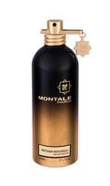 Montale Vetiver Patchouli Eau De Parfum 20ml kvepalai atomaizeris