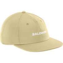 SALOMON cap Logo Flat grey green