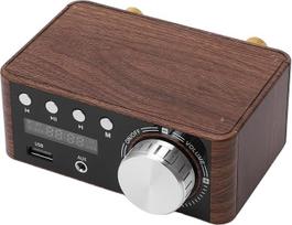 Mini 5.0 galios stiprintuvas Stiprintuvas 2 kanalų 50W su USB įvestimi Mini stiprintuvas Stereo HiFi Digital