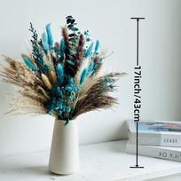 Natural Dried Flowers Home Decor Bouquet Wedding Arrangement Fluffy Phragmites Reeds Pampas Bunny Tail Grass bohemia Decoration
