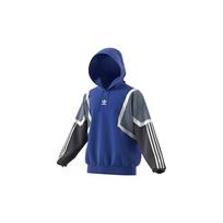 Adidas Originals Trefoil Hoodies Vyriški Hoodies Mėlyni CE4802 S blue