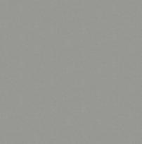 Stalviršis Inox pilka PF8009 SG (F76112 SD) 4100x600x38mm