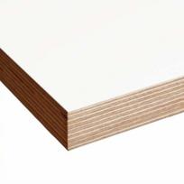 Laminuota fanera 18 mm M/M balta 2500x1250x18mm
