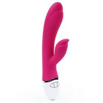 Vibratorius Vibe Dreamer II USB Rose, raudonas