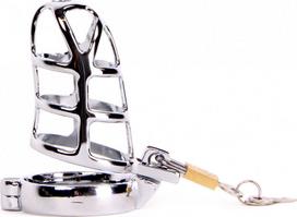 Penio narvas Perfect Lover Chastity Cage, sidabrinis