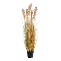 Namas Nordic Dirbtinė žolė Sorgas 110 cm Natural 442818