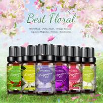 6vnt 10ml Vaisių Kvapų Aliejai Difuzoriams
