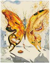Tapyba pagal skaičius Salvador Dali Venus butterfly, 40x50