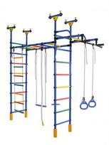 Dvigubas sporto kompleksas (gimnastikos sienelė) DRAMBLIUKAS mėlyna-vaivorykštė, 235-293x52,5cm, -