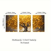 Drobės rinkinys, 3 vnt, 30x40cm (12x16 colių)x3p be rėmelio