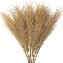 Dirbtinių pampas žolių rinkinys,  Ruda