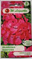 Pelargonijos sodo rožinis W.Legutko
