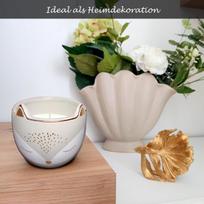 Dekoratyvinė žvakė "lapė" stiklainyje, rožių kvapo