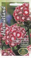 Gvazdikai Heimatland