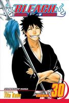 Bleach, Vol. 30: There Is No Heart Without You, v. 30