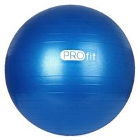 Gimnastikos kamuolys Profit 75cm mėlynas su pompa DK 2102