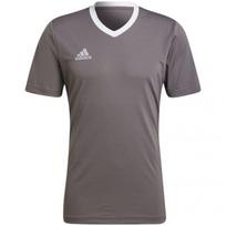 Sportiniai marškinėliai vyrams Adidas Entrada 22 Jersey, pilki