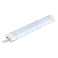 Dulkėms ir vandeniui atsparus LED šviestuvas Nola 36W