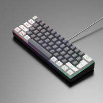 61 klavišų mini RGB apšvietimo klaviatūra ,  Balta+pilka
