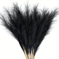 Dirbtinė pampas žolė puošybai,  Juoda