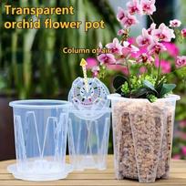 Skaidrus plastikinis vazonas orchidėjoms su padėklu, 14 cm / 5,5 colio