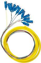 Qoltec 12x SC UPC G657A2 2m