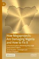 How Megaprojects Are Damaging Nigeria and How to Fix It: A Practical Guide to Mastering Very Large Government Projects 1st ed. 2022