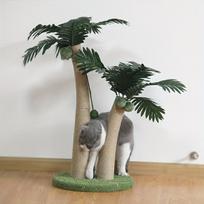 Tropinė palmės katės draskyklė