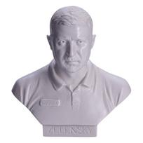 Biustas Volodymyras Zelenskis Danila-souvenirs, 15 cm