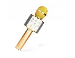 karaoke mikrofonas