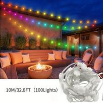 LED slyvų žiedų girlianda, 10M -100Šviesos
