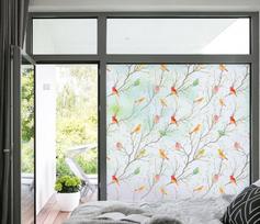 Vinilinių vitražinių langų plėvelė dekoratyvinis tÄ™privatumo apsauga statinė 45*100cm paukščiai
