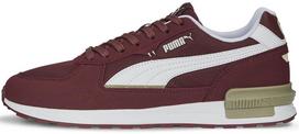 Sportiniai batai vyrams Puma Graviton Wood Bordeaux 380738 29 380738, raudoni, 40.5