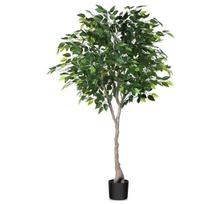 Dirbtinis gelė Fikusas