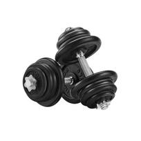 Ketaus hanteliai 50 kg