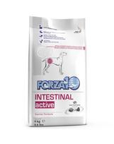 Forza 10 Intestinal Active Dieta virškinimo problemoms, 4 kg