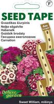 SĖKLOS JUOSTOJE GVAZDIKAS ŠIURPINIS SWEET WILLIAM (MIŠINYS)