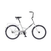 Miesto dviratis Classic Funk 24", pilkas